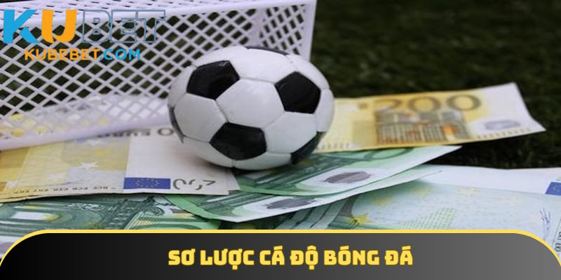 Thông tin định nghĩa cá độ bóng đá 